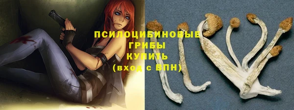 ECSTASY Богородицк