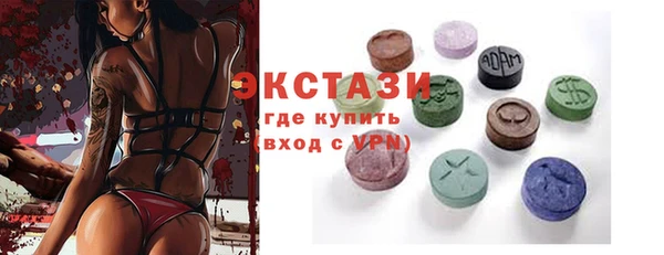 ECSTASY Богородицк